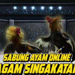 Sabung Ayam