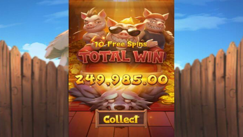 Three Crazy Pigs