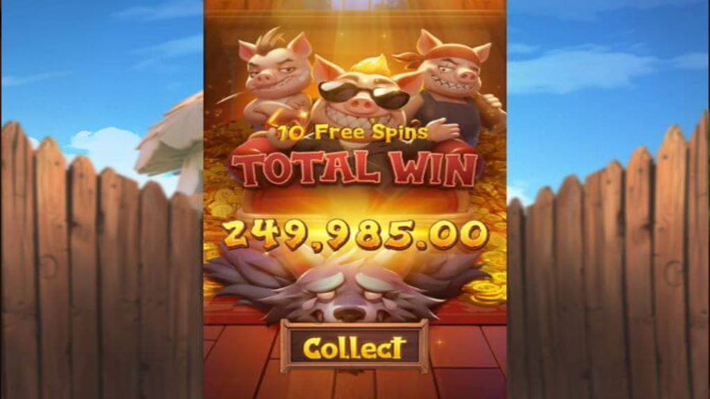 Three Crazy Piggies