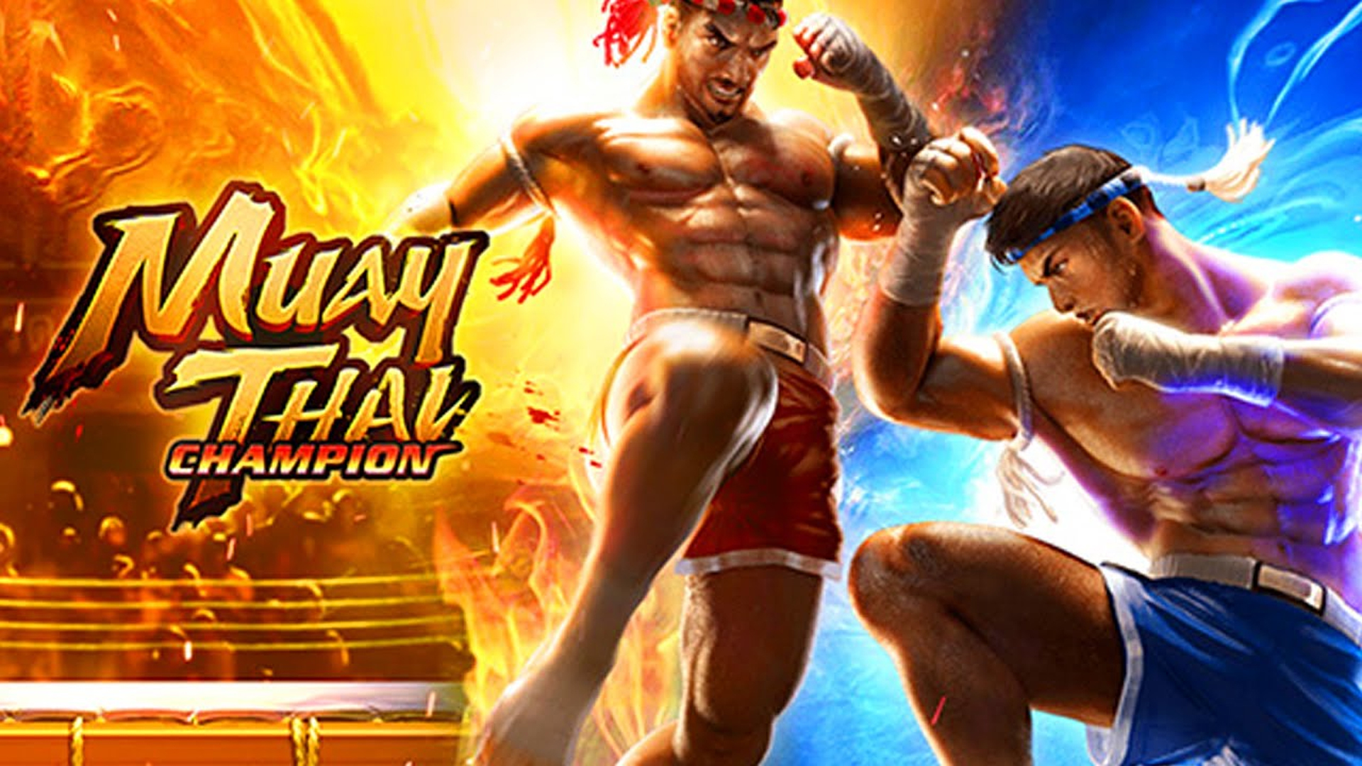 Muay Thai Champion