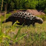 Ankylosaurus: Dinosaurus Berzirah Baja yang Tak Terkalahkan!