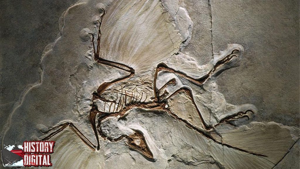 Archaeopteryx: Burung Pertama di Dunia atau Dinosaurus Terbang