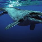 Mosasaurus: Kisah Menakutkan Sang Pemangsa Laut Prasejarah!