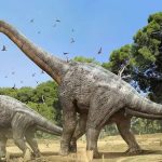 Brachiosaurus: Raksasa Dinosaurs yang Meninggalkan Jejak!