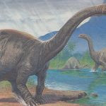 Brontosaurus Dinamika Kehidupan Dinosaurus Raksasa Masa Lalu