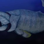 Dunkleosteus: Predator Laut Purba Tak Tertandingi Kekuatannya!
