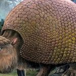 Glyptodon: Hewan Prasejarah dengan Perisai yang Mengagumkan!