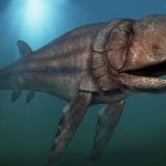 Leedsichthys, Ikan Kolosal di Era Dinosaurus yang Bikin Takjub!
