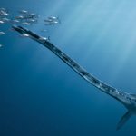 Mengenal Liopleurodon: Raja Lautan yang Hilang dari Sejarah!
