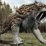 Smilodon: Predator Hebat yang Pernah Menguasai Zaman Es!