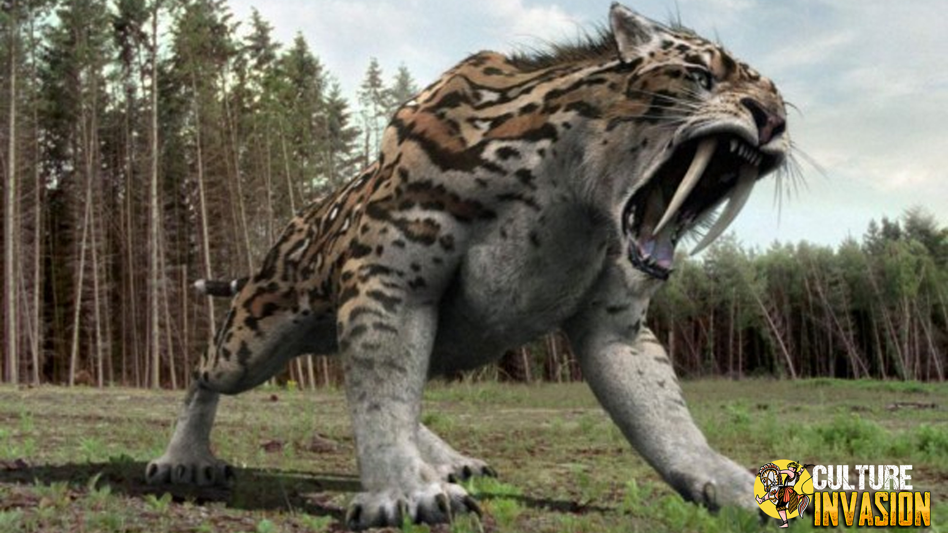 Smilodon: Predator Hebat yang Pernah Menguasai Zaman Es!