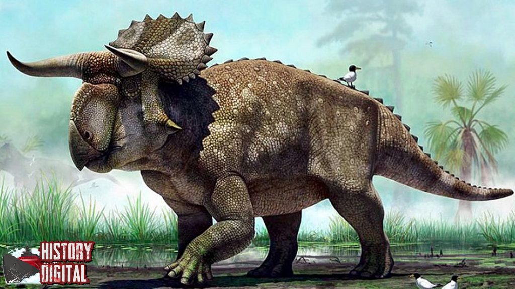 Triceratops: Sang Petarung Purba dengan Tanduk Mematikan!