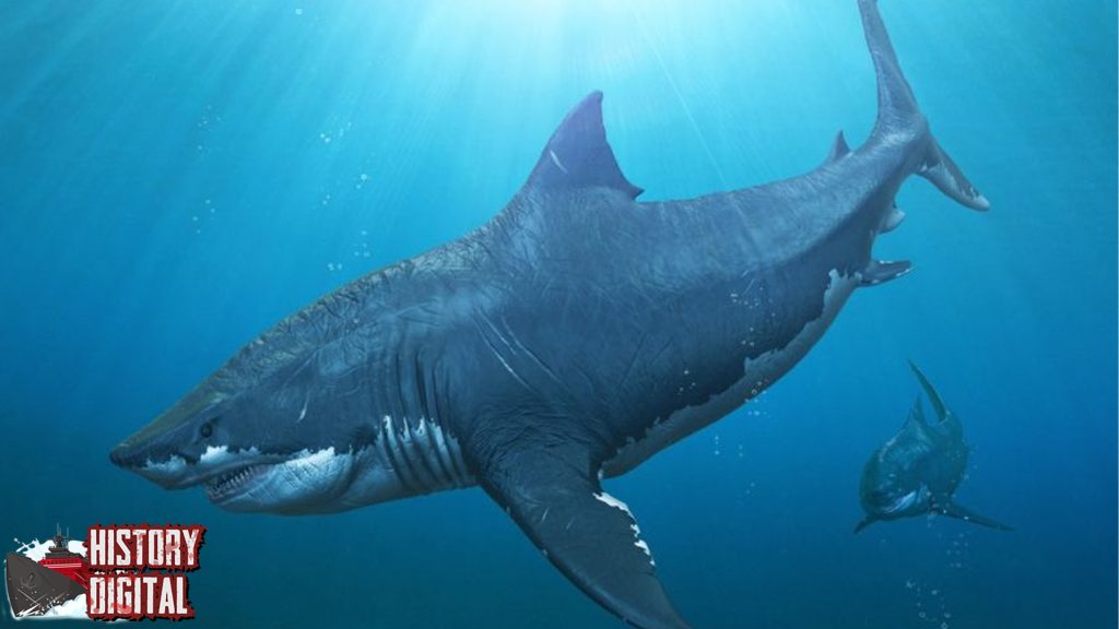 Hiu Megalodon: Predator Lautan yang Mengguncang Dunia!