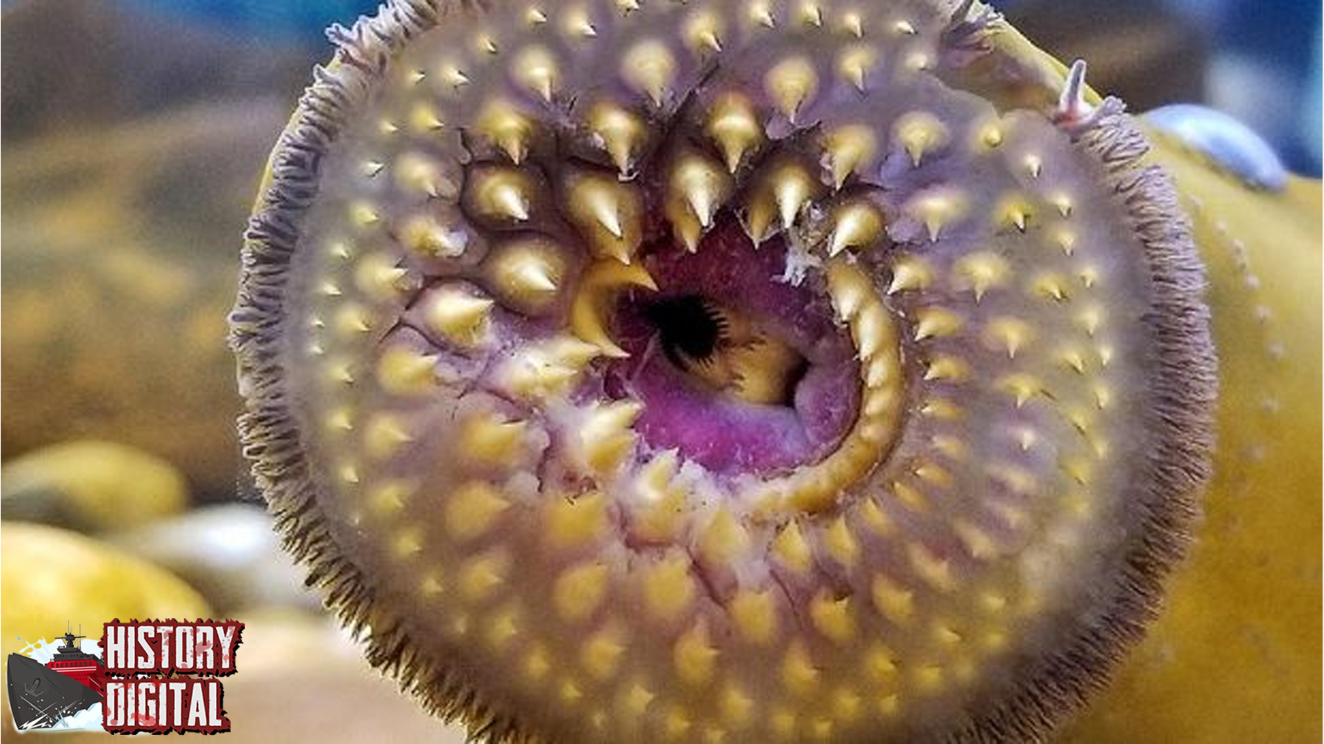Dracula Purba: Reptil Mini yang Bikin Ahli Fosil Geleng-Geleng!