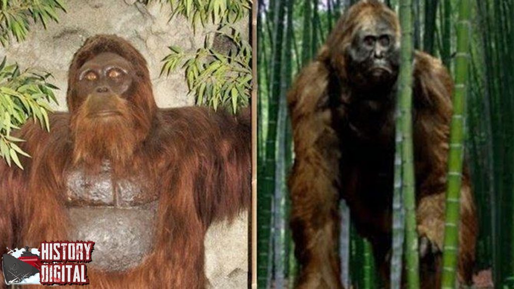 Gigantopithecus: Misteri Primata Raksasa dari Masa Silam!
