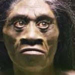 Fosil Tertua Jawa Timur? Homo Wajakensis Jawabannya