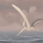 Pteranodon: Makhluk Langit Purba yang Menantang Logika!