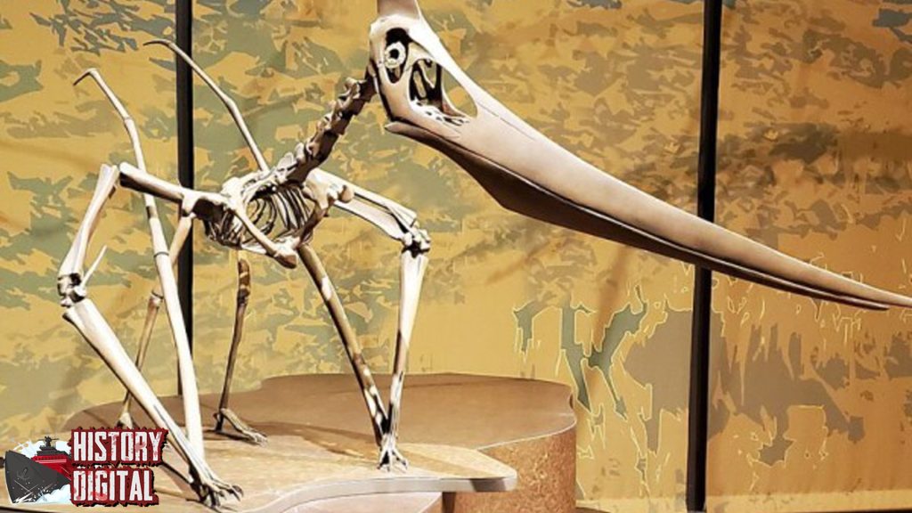 Pteranodon: Makhluk Langit Purba yang Menantang Logika!