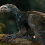 Velociraptor: Si Pemburu Cerdas Menghantui Dunia Prasejarah!
