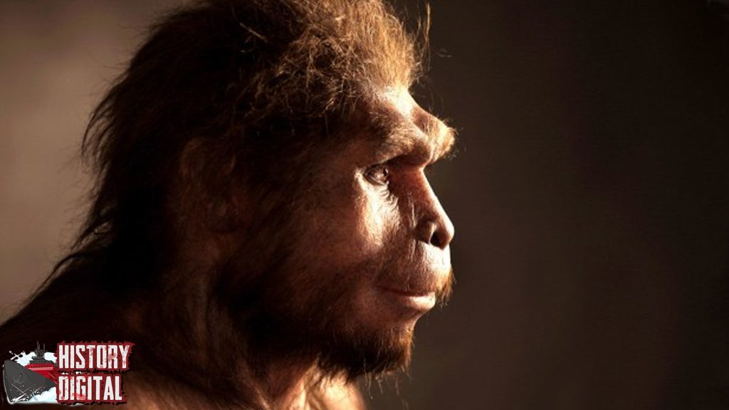 Fosil Tertua Jawa Timur? Homo Wajakensis Jawabannya