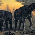 Paraceratherium: Raksasa Purba yang Pernah Kuasai Bumi!