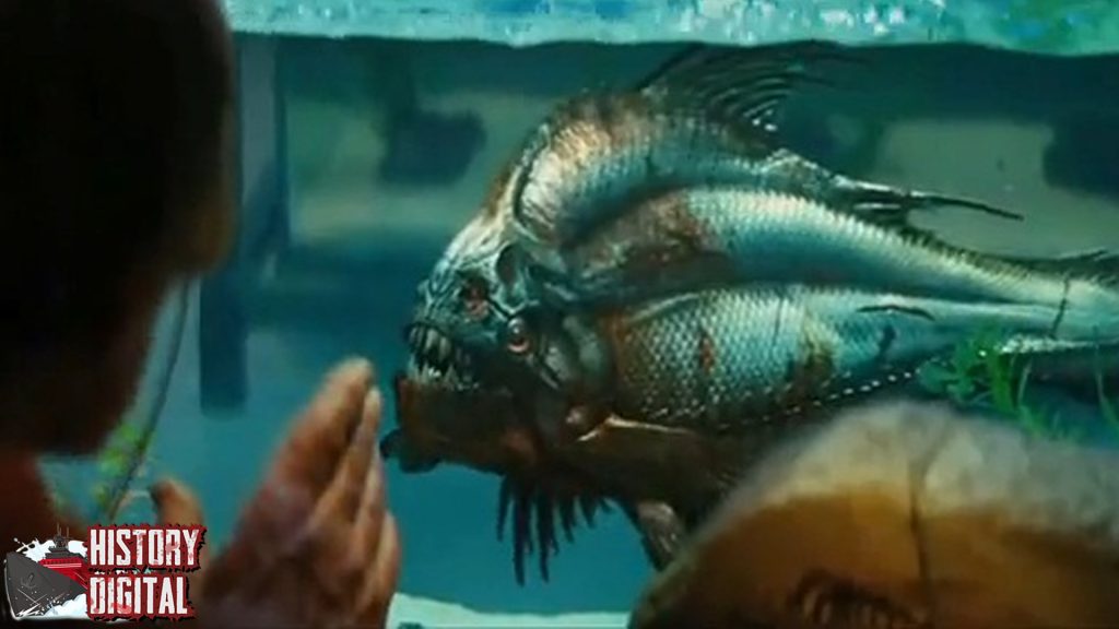 Ikan Piranha Dari Sungai Amazon ke Mitos yang Mendunia!