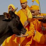 Sejarah Sapi dalam Hindu Simbol Kesucian dan Kehidupan!