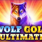 Login Rtp8000 Siapkan Arena Seru untuk Wolf Gold Ultimate!