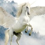 Unicorn Mitos dan Sejarah Sang Kuda Legendaris!