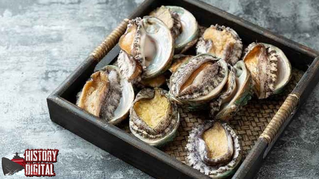 Kerang Keindahan 25 dan Rahasia Si Cangkang