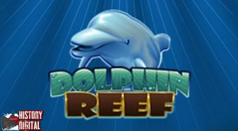 Dolphin Reef Akui 1 Nggak Nyelam, 2 Nggak Makan, Bos!