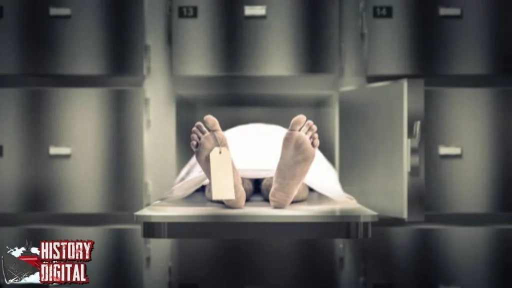 3 Mayat di RS India Dimakan Tikus, Kengerian Terungkap 2 3 Mayat di RS India Dimakan Tikus, Kengerian Terungkap